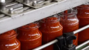 Tomato paste manufacturers