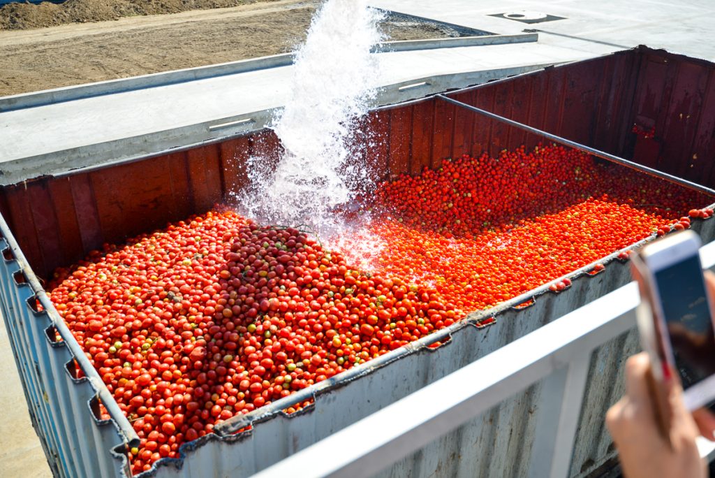 Tomato paste processing equipment