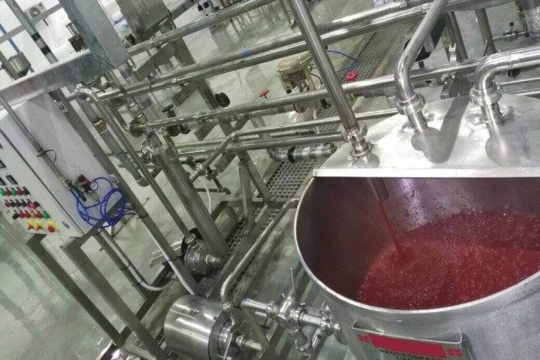 organic tomato paste making machine + great functions