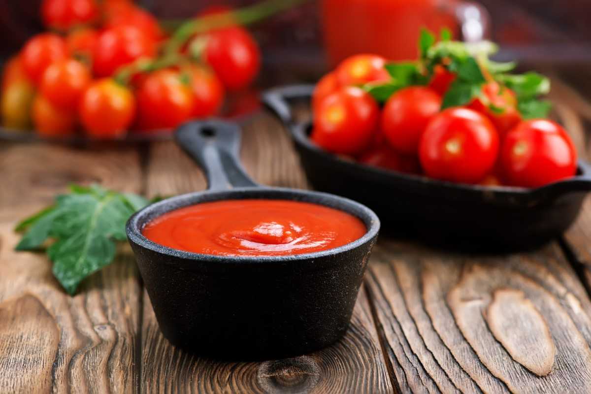 Tomato Paste Concentrate