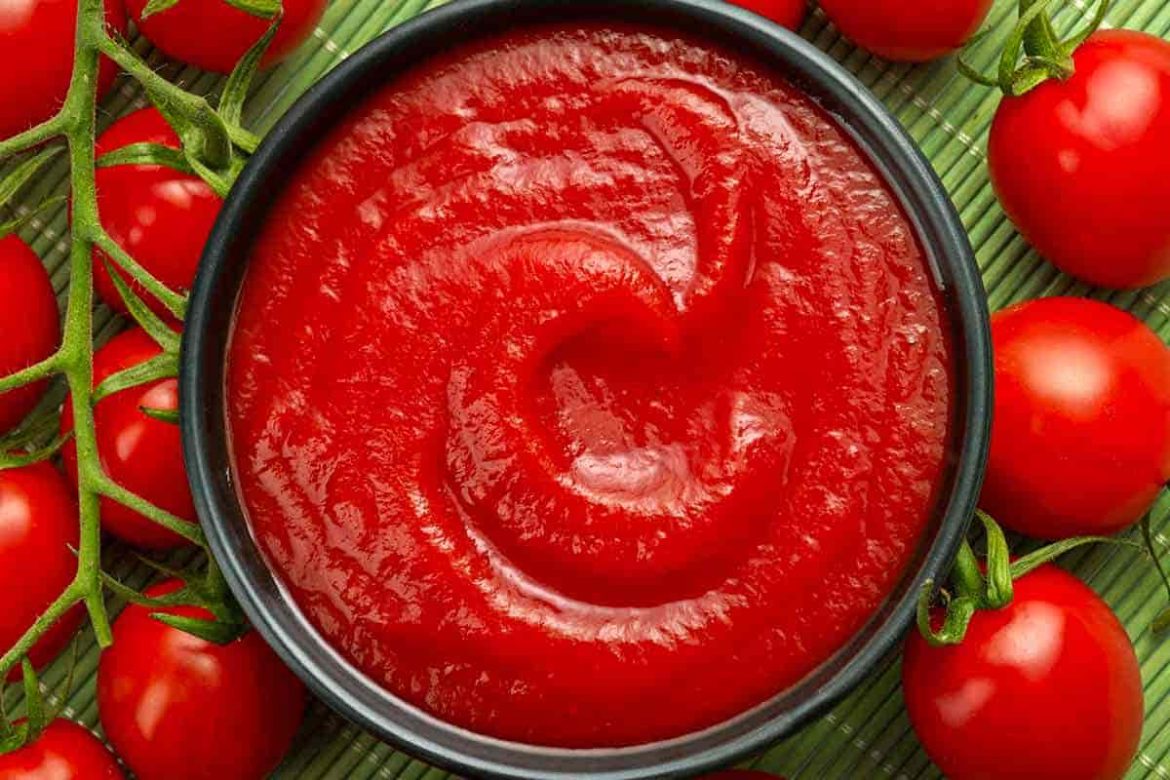 The best tomato paste factories