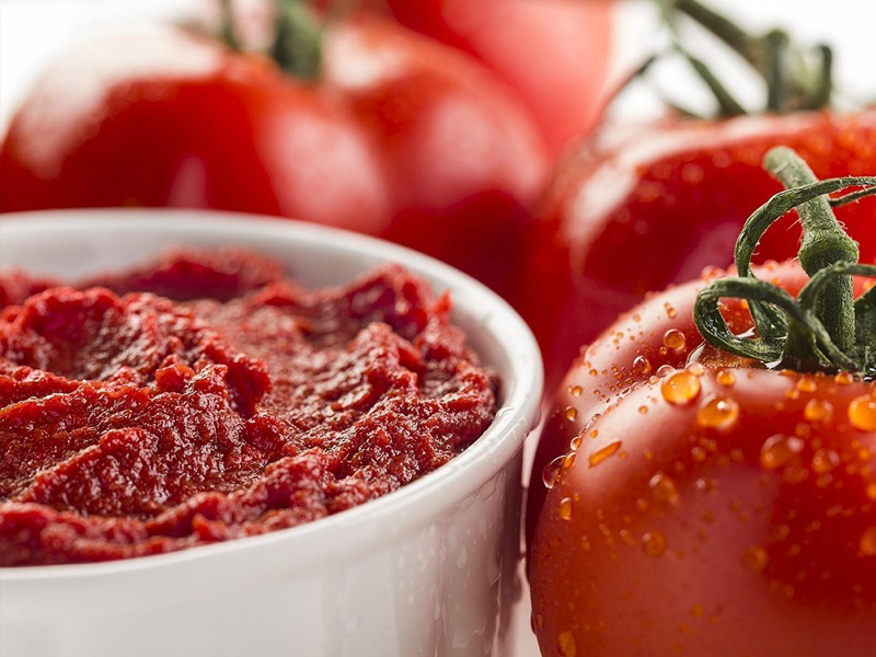 Tomato sauce can + purchase price, use, uses and properties