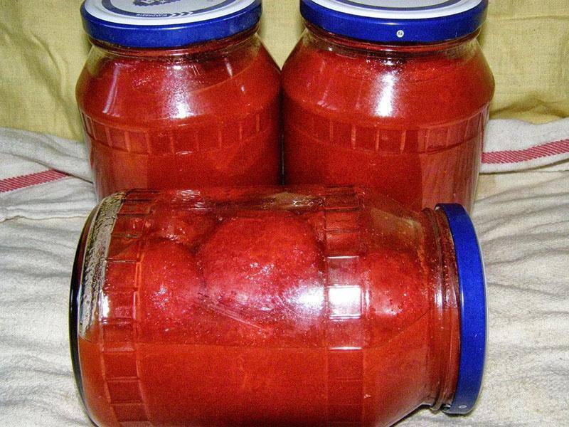 Tomato paste vs sauce | Buy at a cheap price