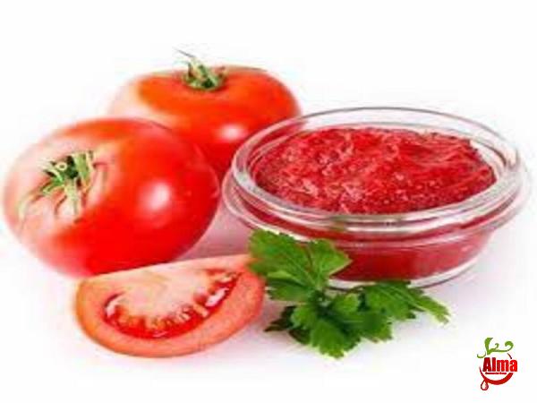 Specifications of tomato paste