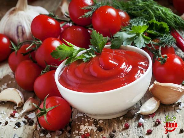 Tomato paste ketchup price + wholesale and cheap packing specifications